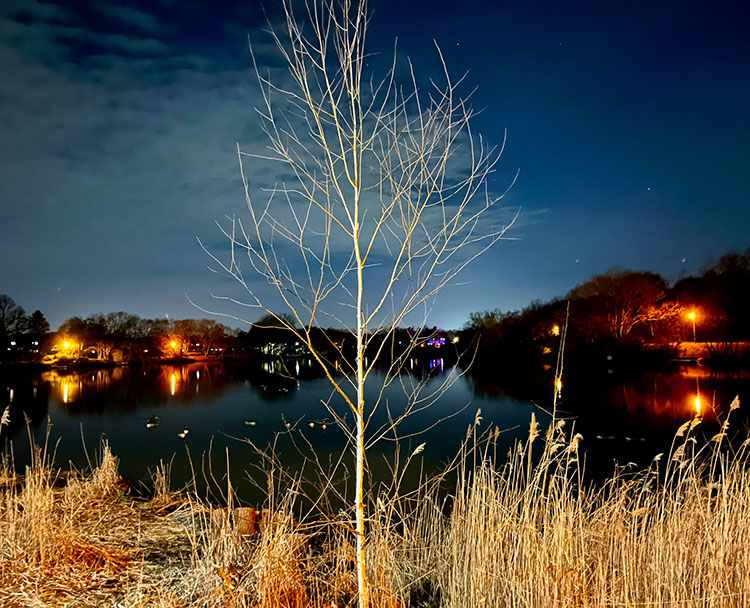 Cam Crosland, UK, By the Lake