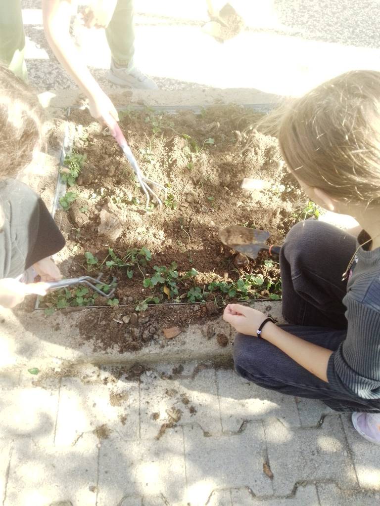 festival-sotirias-plateias-protomagias